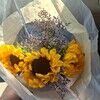 samkirtley